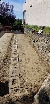 Country Hills Wall Repair