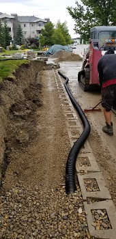 Country Hills Wall Repair