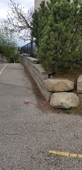 Country Hills Wall Repair