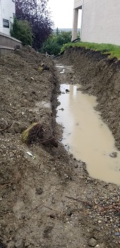 Country Hills Wall Repair