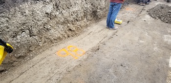 Country Hills Wall Repair